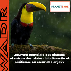 PLANETERRE DU JEUDI 15 05 2025 VERSION SOUNDCLOUD
