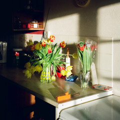 Give Me A Reason (Demo Version)