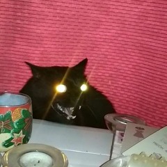 i don't even know (freestyle)