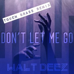 Dont Let Me Go (Touch Grass Remix)
