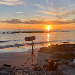 7 Minutes Of Aldinga Beach July 30 5.29pm 2024