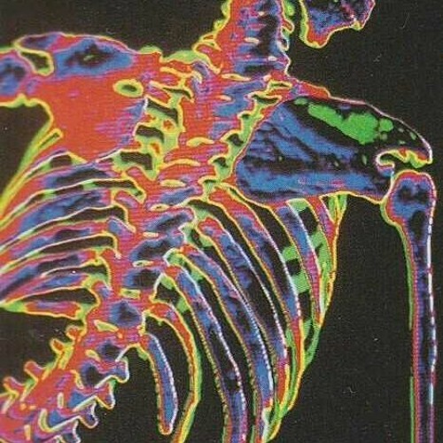 G r a t e f u l p r o d r d r e a m s