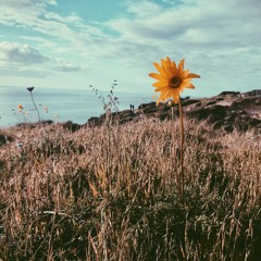 Something To Believe In