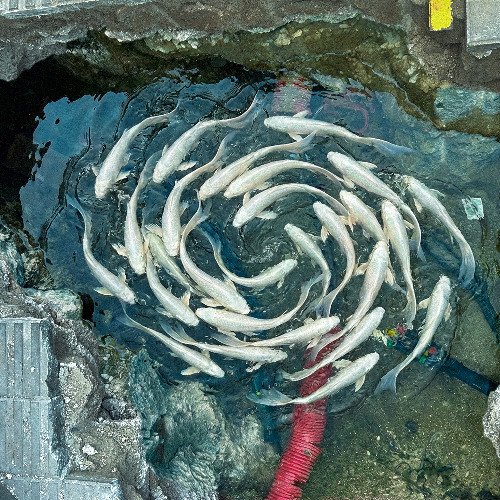 Soft Noise / MIX.02 - Cuadrado Electrónico