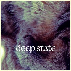 Deep State - Soundcloud Mix #1