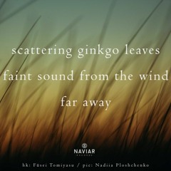 Scattering Ginkgo Leaves  (Naviarhaiku 423 )