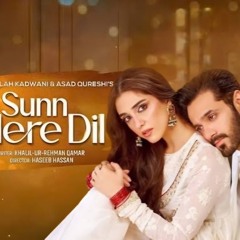 Sunn Mere Dil _ Full OST _ Rahat Fateh Ali Khan _ Ft. Wahaj Ali, Maya Ali _ Har Pal Geo