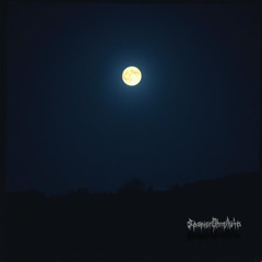 Under the Moonlight - SpanierMitAuto