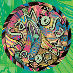 N.T.F.P. (Samosa Records)