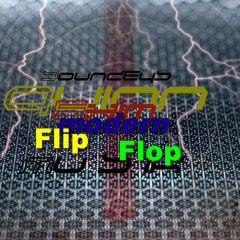 modern flip flop