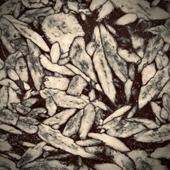 W...e T...e I. A Will T...e`s A Way