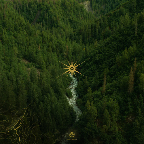 Daily Drops