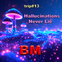 Hallucinations Never Lie (Remix)