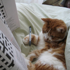 crosswordz