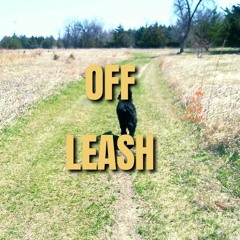 Off Leash | Everyday Streak: Day 7