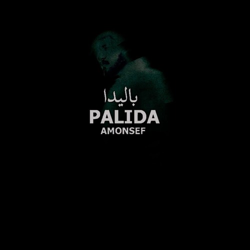 AMONSEF - palida | امونسيف - باليدا | new music