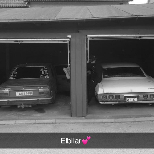 Anton och Affe - Frågan på livet