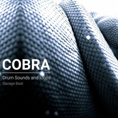16 Royalty-Free Drum Samples [FREE] Cobra Drum Kit by Savage Beat