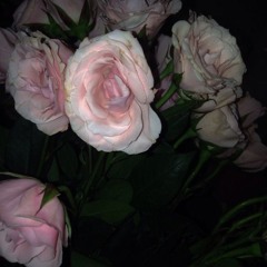 januarj - Kehlani Not Orig