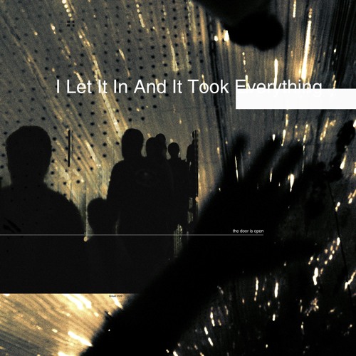 I Let It in and It Took Everything... (feat. Vincente Void)