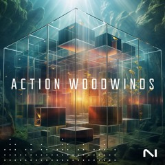 Stealing The Spaceship (Benny Oschmann) - ACTION WOODWINDS - Demo