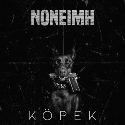 Köpek