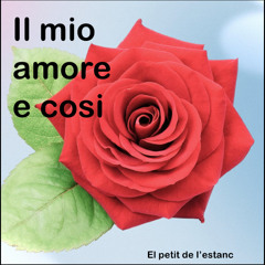 Il mio amore e cosí