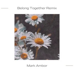 Belong Together Remix
