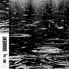 Gradient — 12x36 showcase • Dub Techno