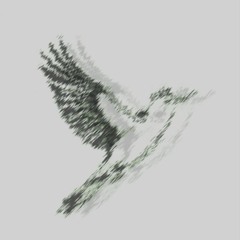 BIRDS OF A FEATHER