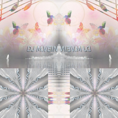 DJ M.VEIN -_- Summer Melodic Tropical Mix 2024
