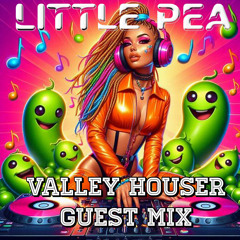 LittlePea Valley House Guest Mix