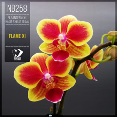 Fleanger feat. Hagit Ayelet Segal - Flame XI (Original Mix)