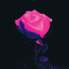 TEENAGE SUMMER LOVE SONG