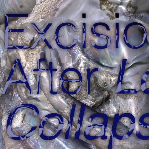 EXCISION FEATURES