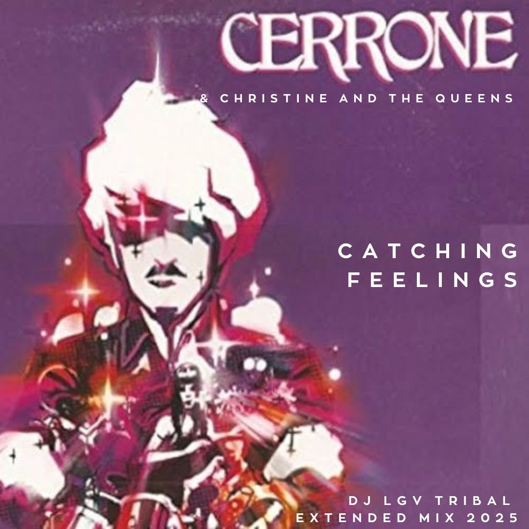 Stream Christine and the Queens & Cerrone - Catching feelings (Dj