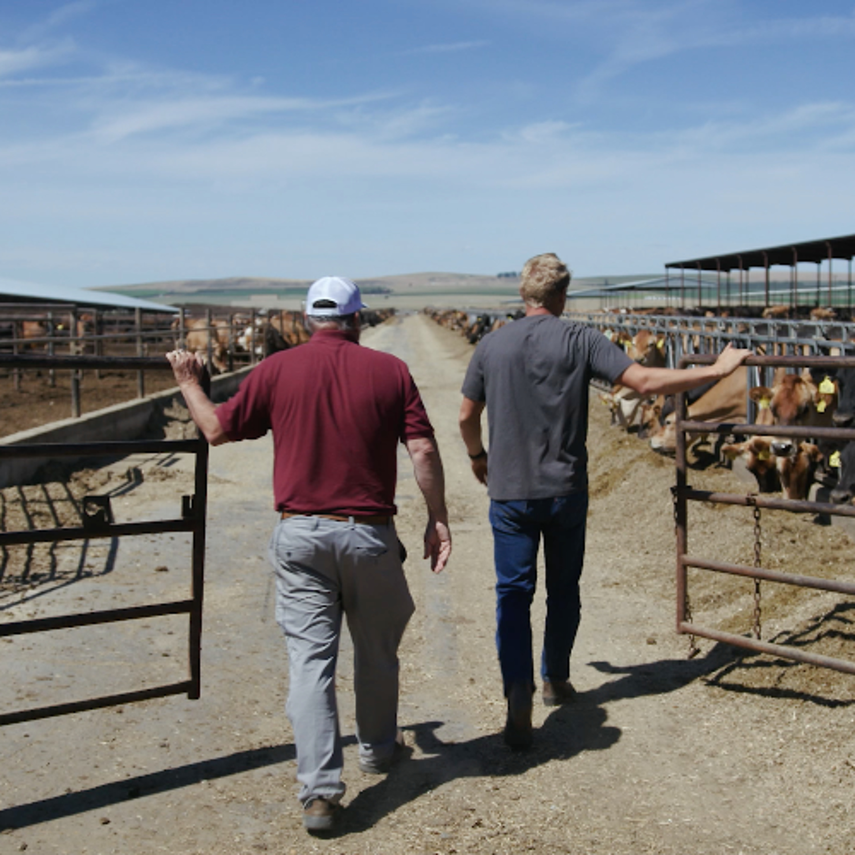 The Farming Show