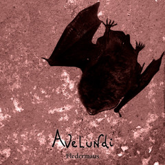 Fledermaus (Bonus Track)