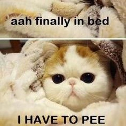 I'd Have Lied If I Said I Tried!!!