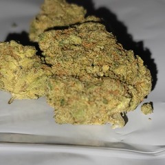 Where's da bud