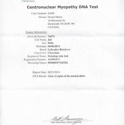 Stream Fake Paternity Test Results Letter Template from Derrick