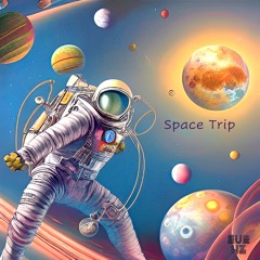 Space Trip by 2DM