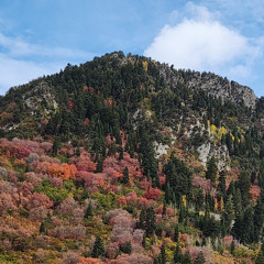 DJ Serge de Chicago - For Real