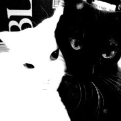 sgpwes- wave p. 10fifty