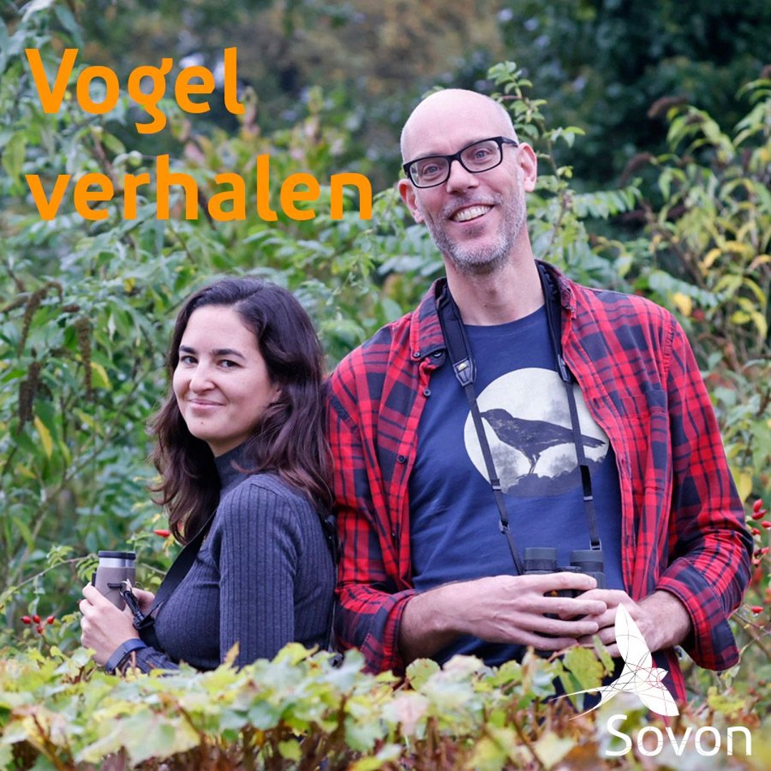 Vogelverhalen 4: Merel wat is er nou?