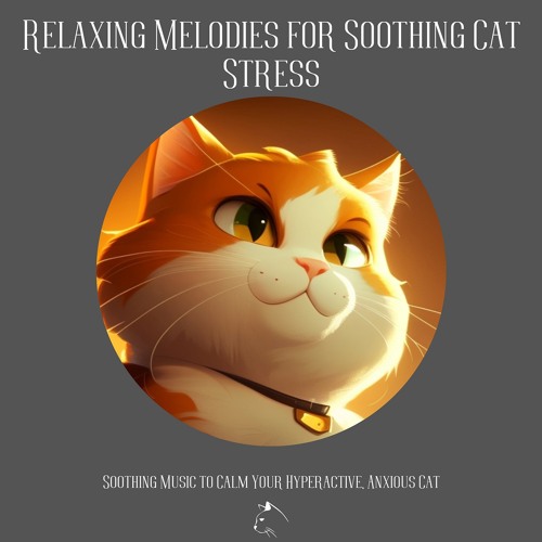 Calm my hotsell cat music