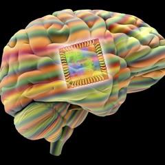 As We Enter The Century Of Engineered Biology