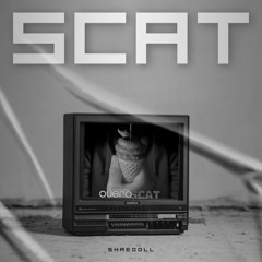 UM SCATZÃO