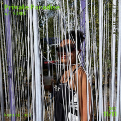 Private Paradise 028 w/ SONKO