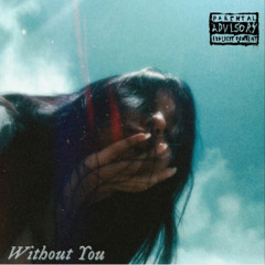 Without You